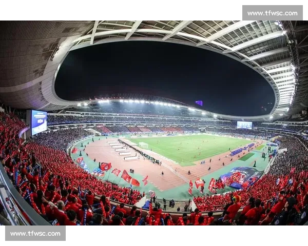 看球也卷起来了体育节目的竞争有多激烈!